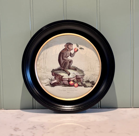 Round Monkey print - Framed