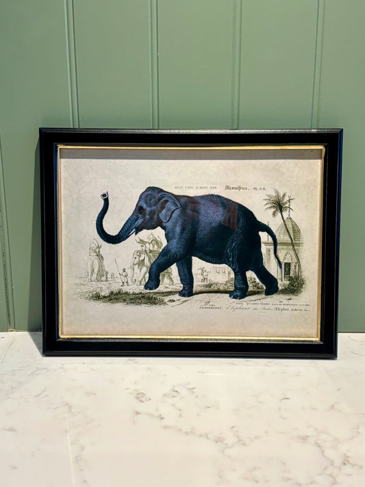 Framed Elephant Safari Print