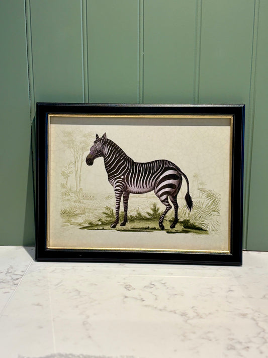 Framed Zebra Safari Print