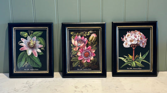 Framed passion Print Small - Set of 3