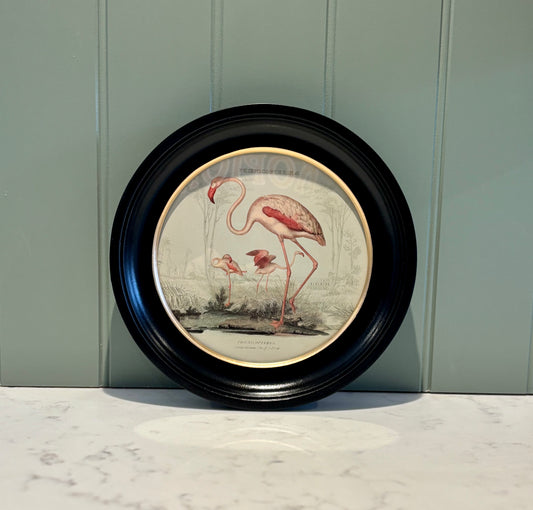 Round Flamingo print - Framed