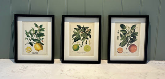 Framed fruit Print Small - Set of 3