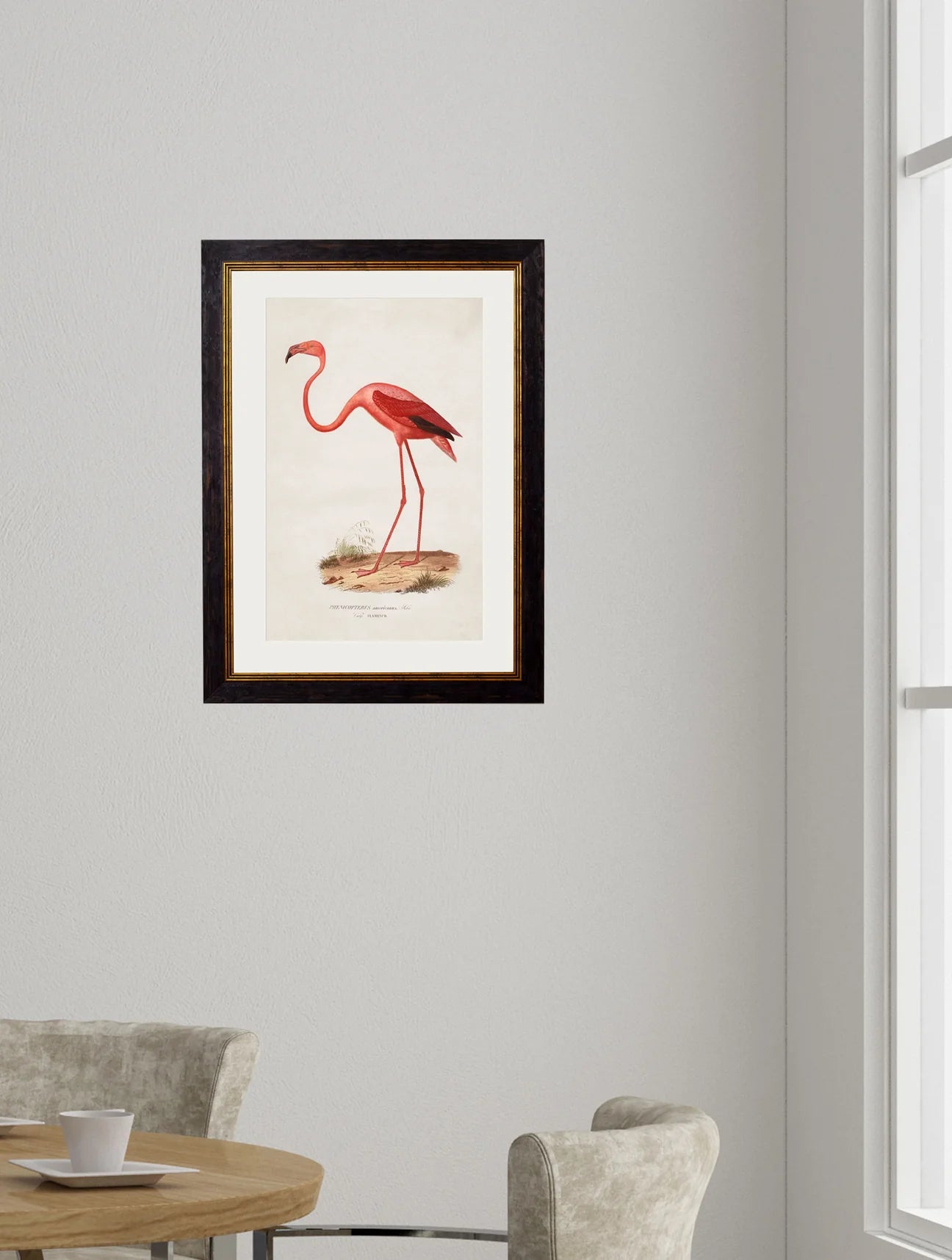 Framed Print - Flamingo large